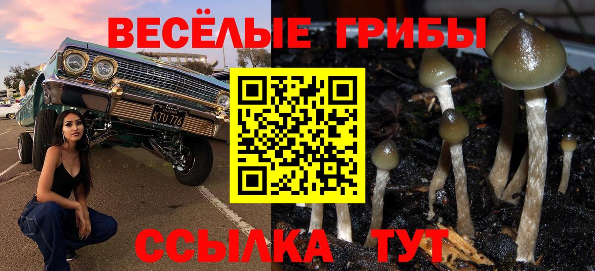 купить наркотик  Вход с VPN  Комсомольск-на-Амуре  Псилоцибиновые грибы MAGIC MUSHROOMS 